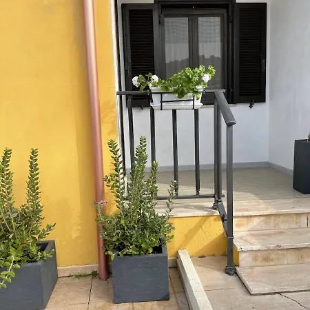 Apartment Ucuppu